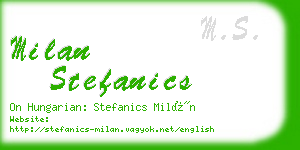 milan stefanics business card